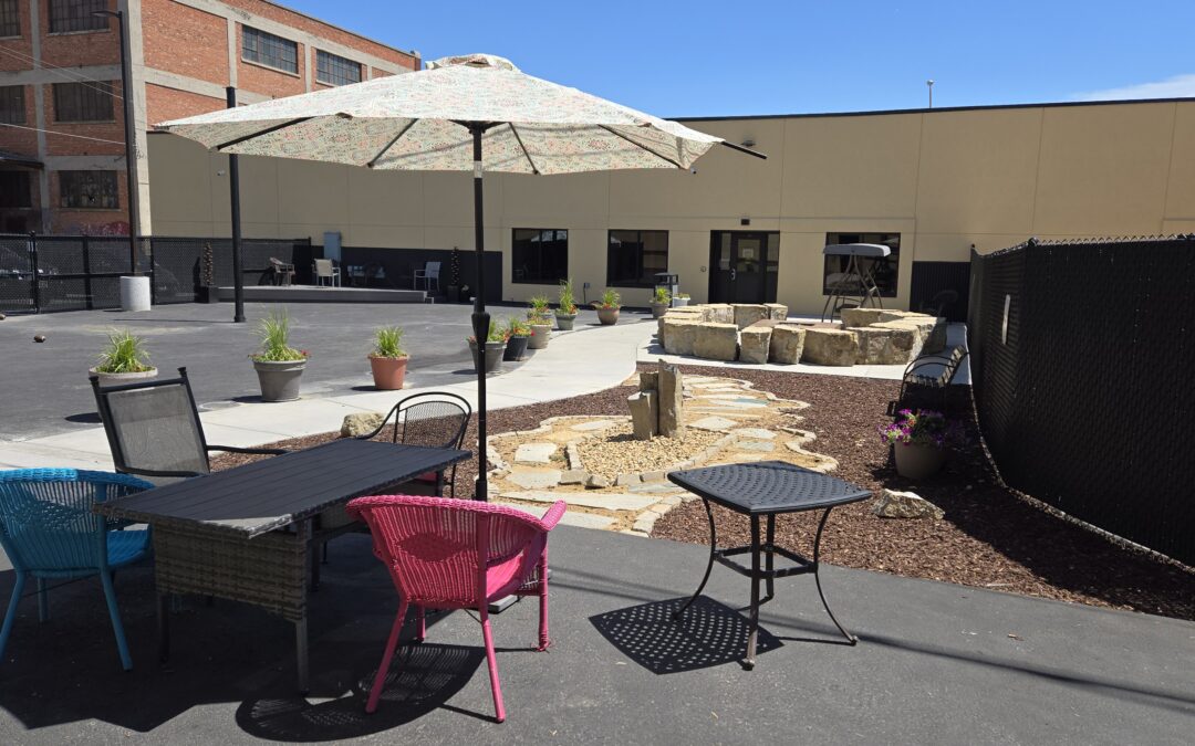 Surviving to Thriving